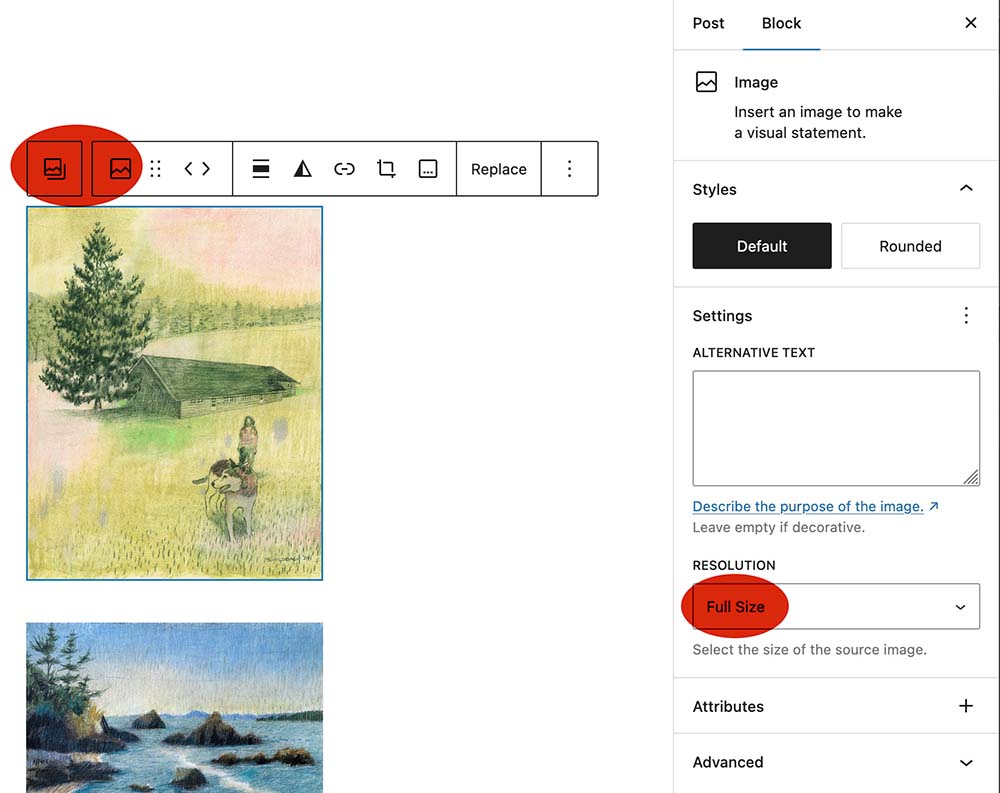 WordPress Photo Gallery Tutorial